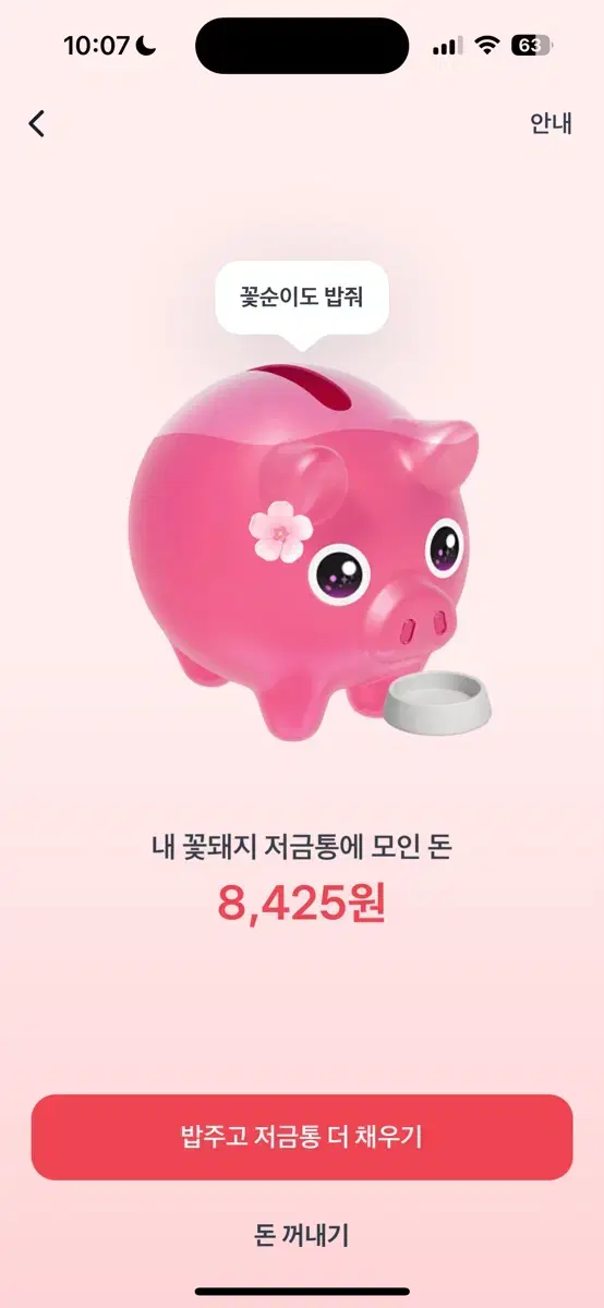 토스 꽃돼지 저금통